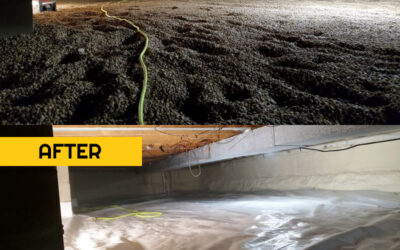 Why Insulating and Encapsulating Your Crawl Space Is a Game Changer