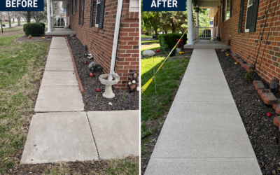 Concrete Leveling Near Me: What Homeowners Should Know