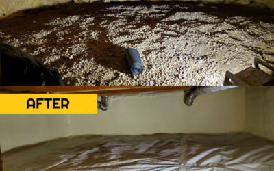 Crawl Space Insulation vs encapsulation: The Pros & Cons