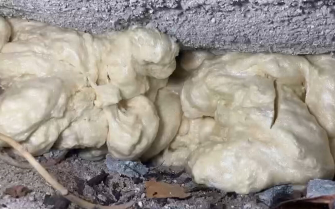 Is Polyurethane Foam Eco-Friendly? What You Need to Know About Concrete Lifting Solutions