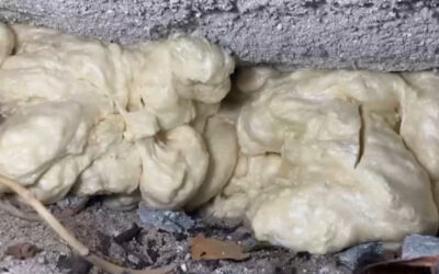 Is Polyurethane Foam Eco-Friendly? What You Need to Know About Concrete Lifting Solutions