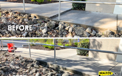 Trip Hazards on Sidewalks: A Hidden Danger to Public Safety