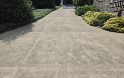 Cracks in Your Driveway? Sealing Them Early Can Help Prevent Further Damage