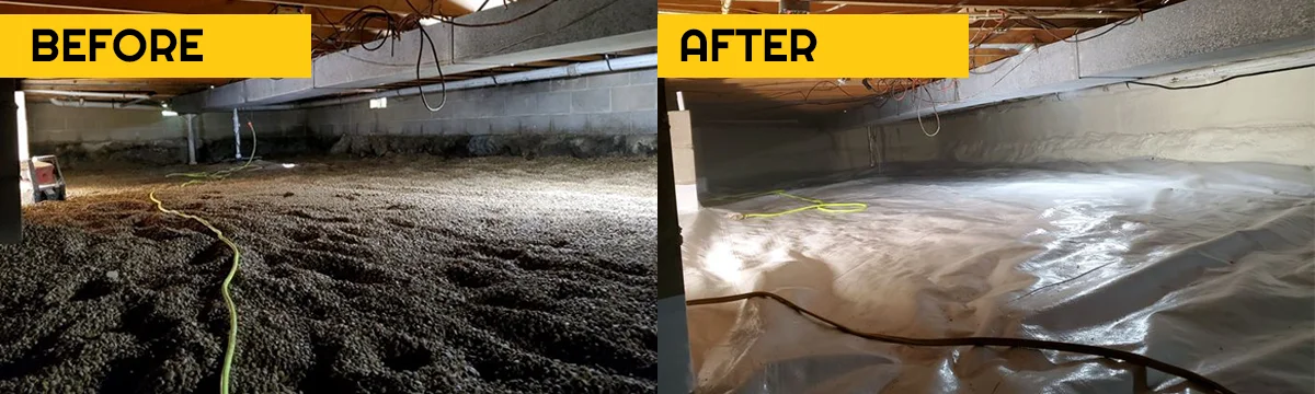 Before/After Crawl Spaces